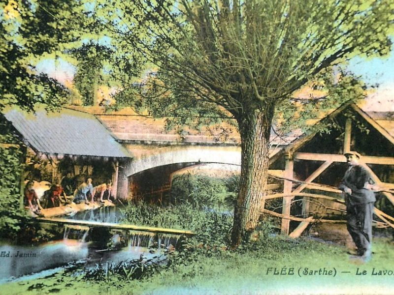 Flée