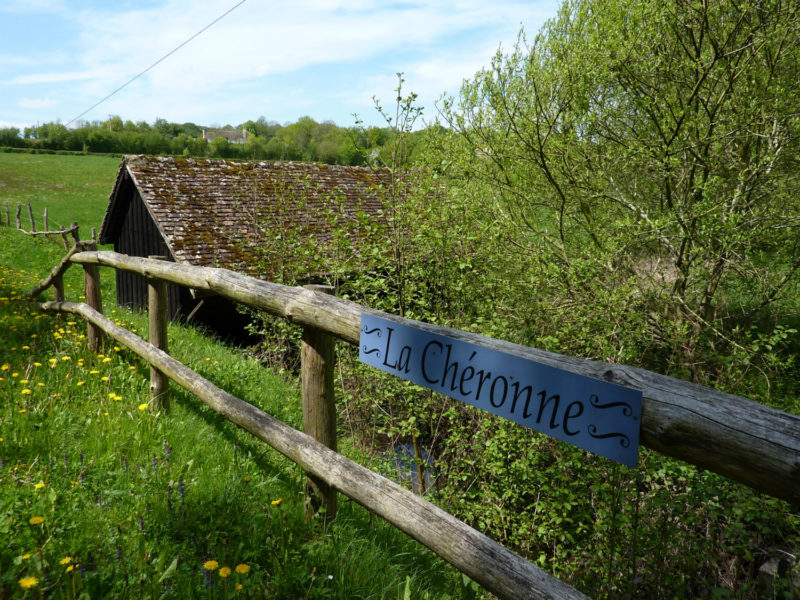 Saint-Denis-des-Coudrais